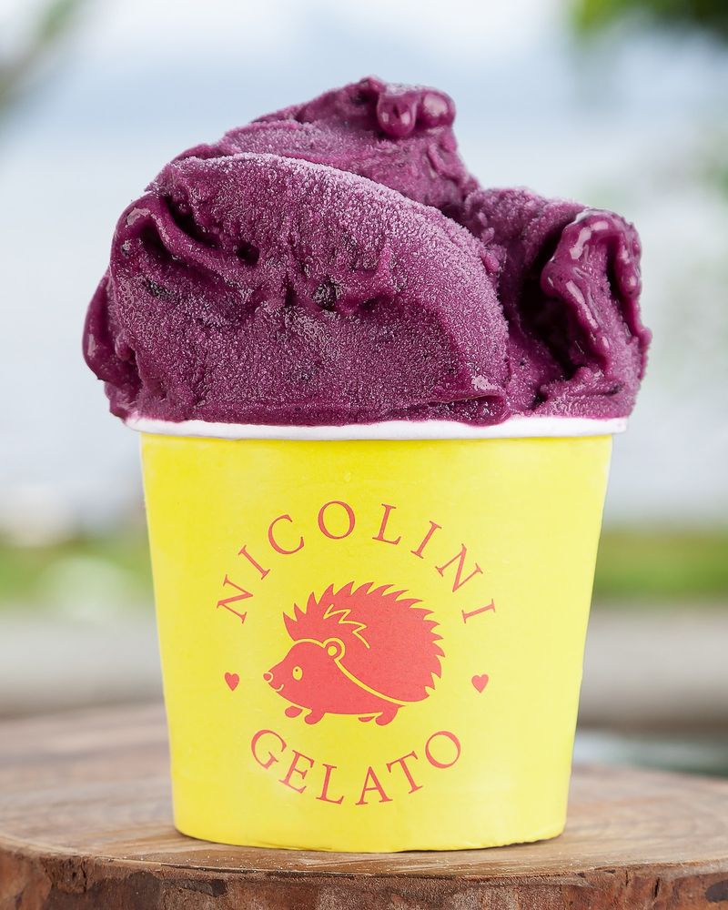 Pote de gelato de açaí